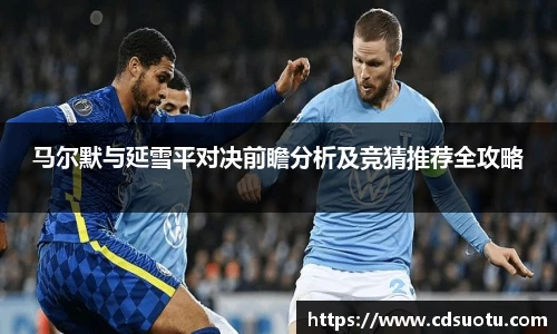 马尔默与延雪平对决前瞻分析及竞猜推荐全攻略